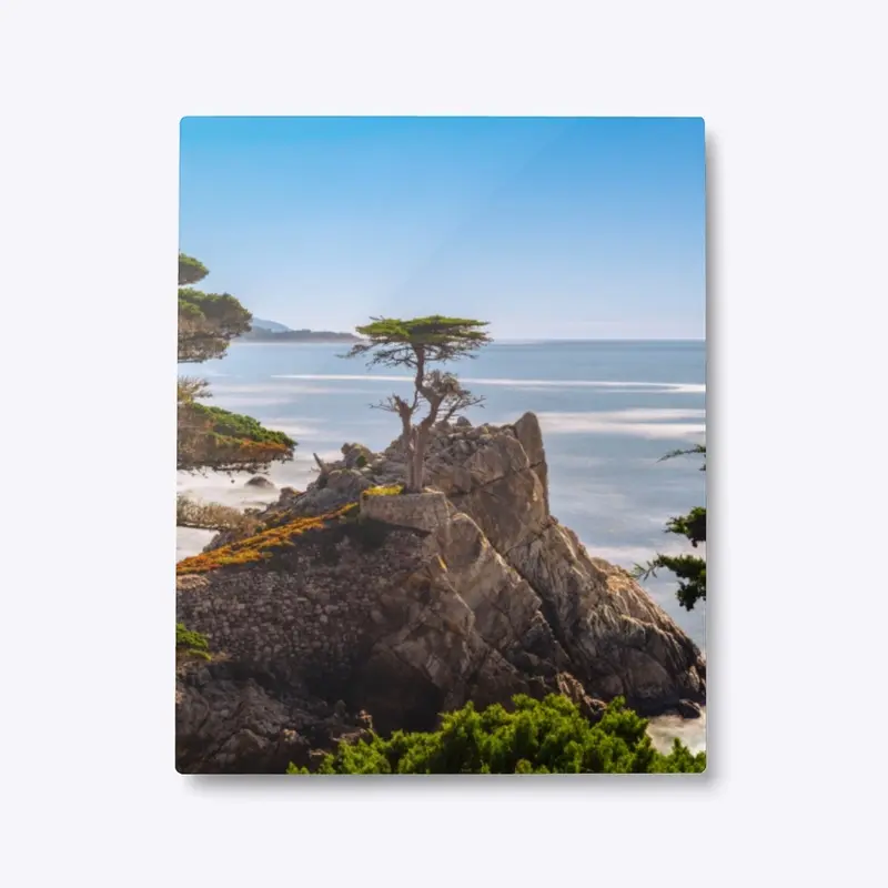 Lone Cypress Pebble Beach California